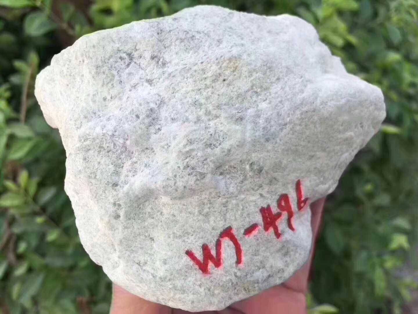 12-7-17编号WJ496885g莫西沙全赌冰种牌子料大面