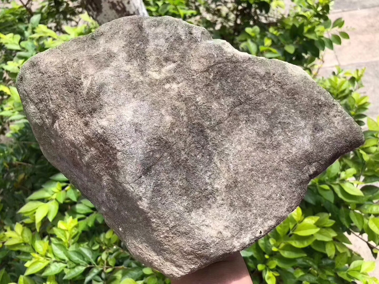 12-6-6编号QY1378.6kg莫西沙开窗手镯料多处大面