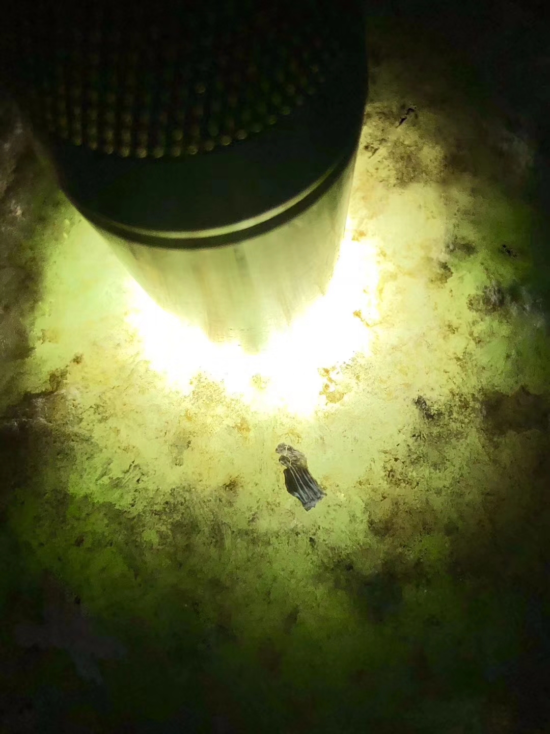 12-4-2号OW41025kg街对角全赌飘花手镯料皮壳紧致