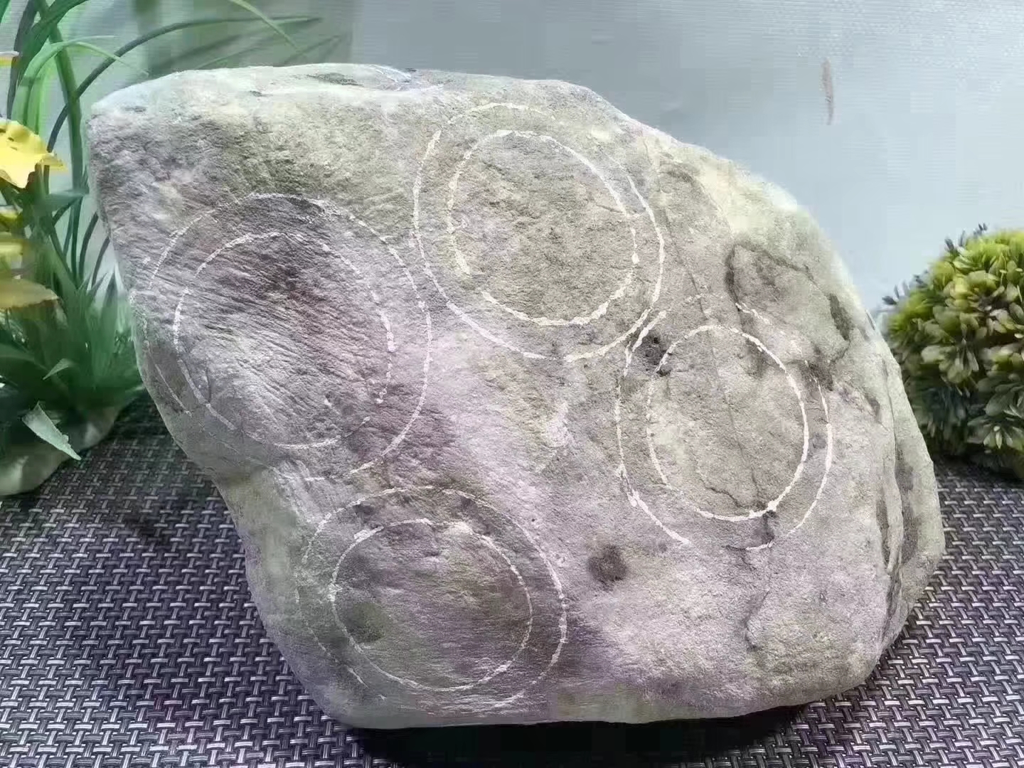 12-4-13号OW3489kg莫西沙全赌手镯料品相好皮壳老