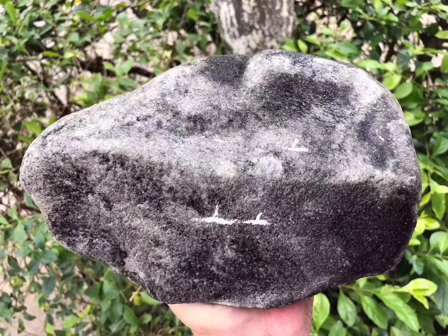 12-4-19号JW1025kg莫西沙脱沙冰种皮壳紧实翻沙均