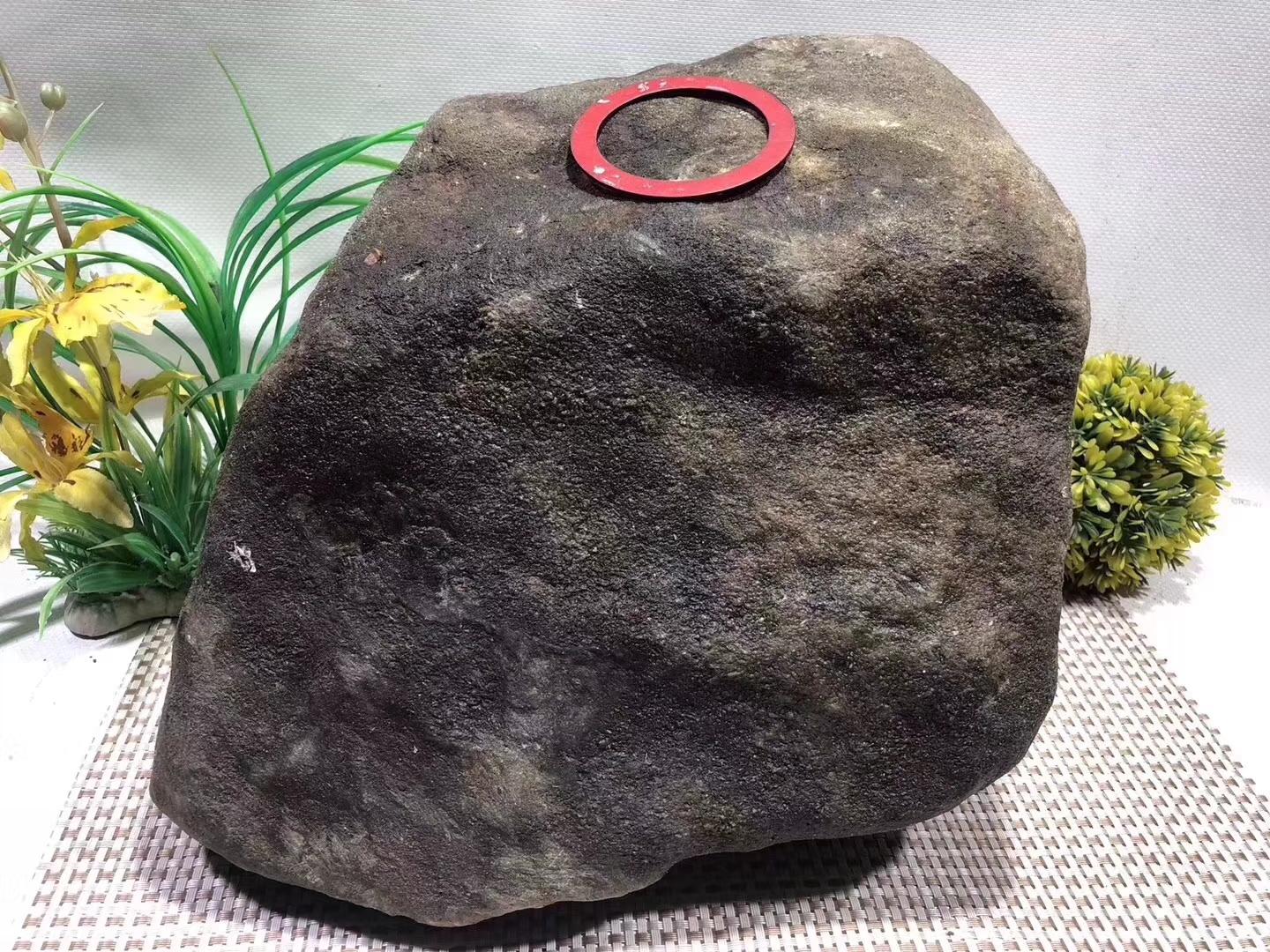 12-2-5号GF629.23kg莫西沙全赌手镯料皮壳超老翻