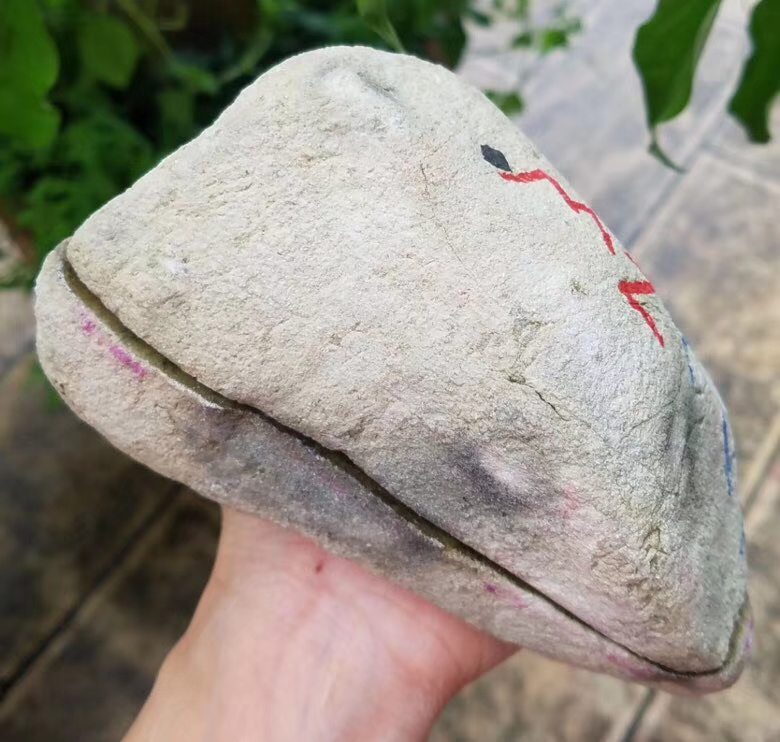 双十二特价39号特价1.1万得莫西沙改口手镯料2.20公斤种