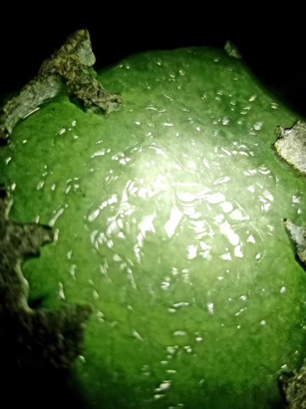 特价2999秒杀得猛料1.3公斤老坑莫西沙开口手镯料料子开口