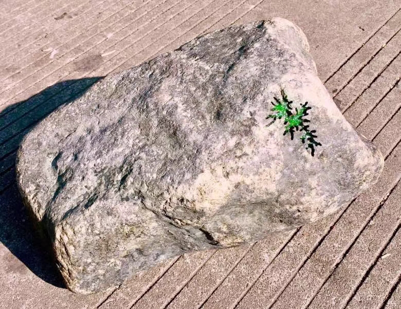 20.35公斤大个头南齐开窗满色阳绿手镯料皮壳完整品相好开窗