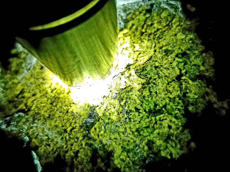 年末清仓价1888秒杀???新货1.85公斤精品南齐全赌料子