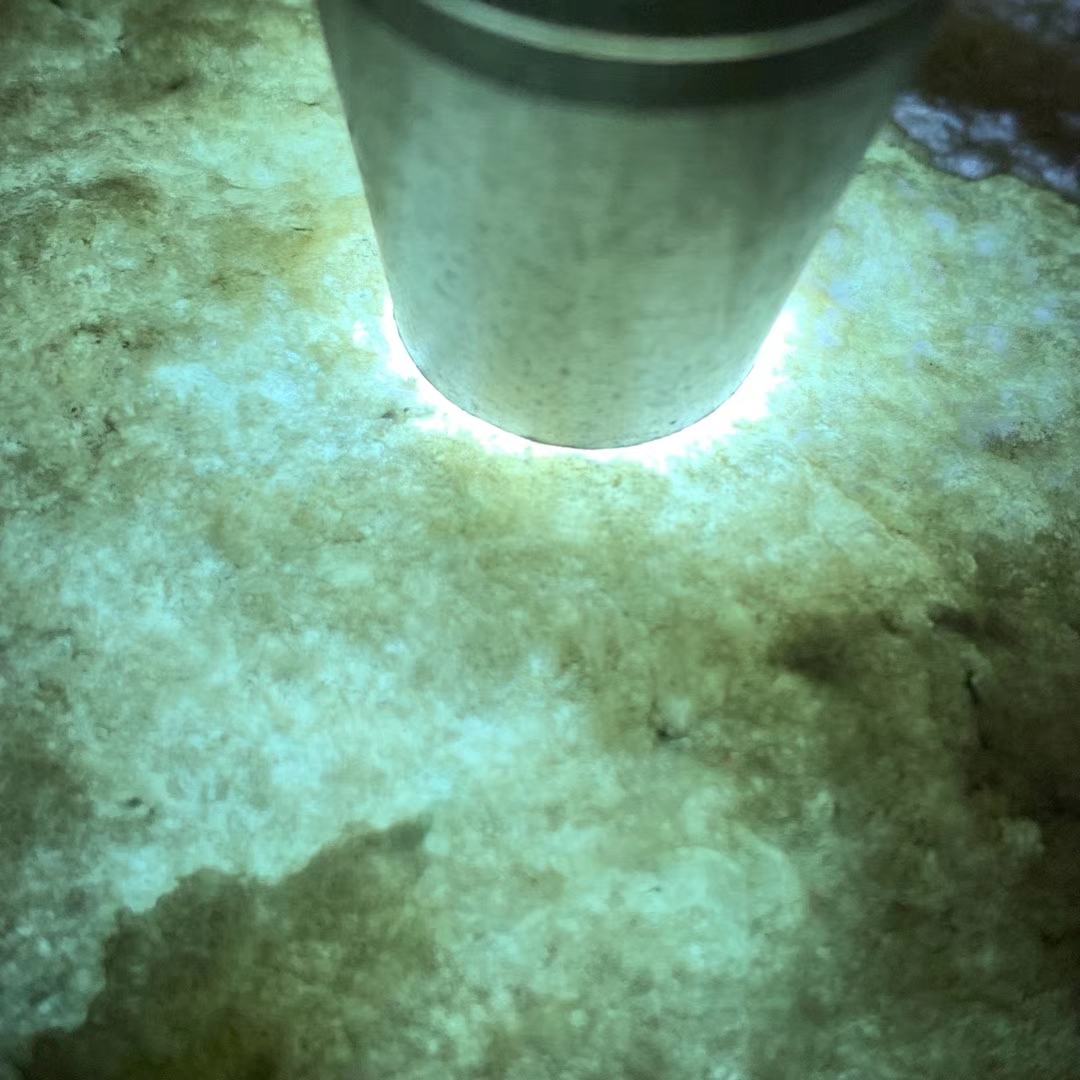 12-11-14老坑莫西沙全赌料！1.7公斤！种老全身脱沙发