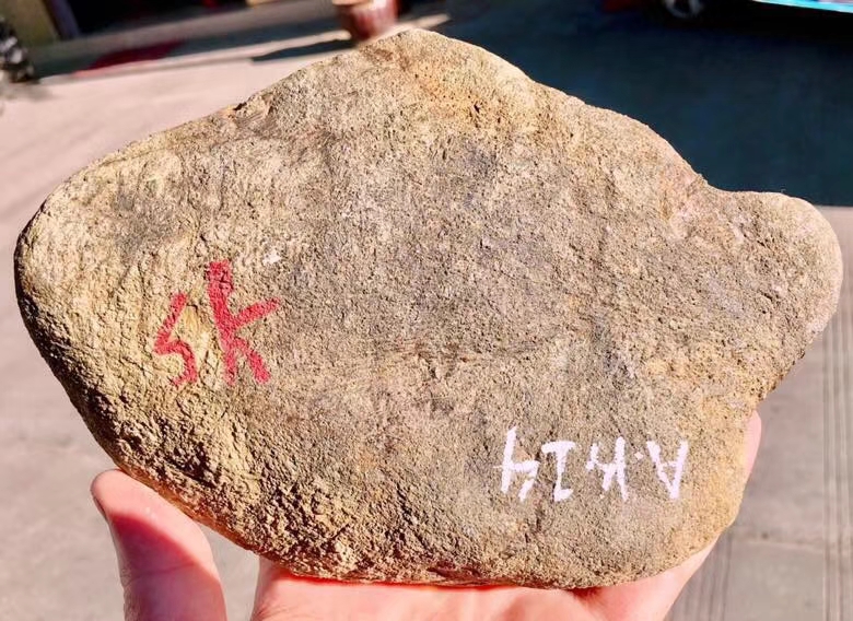 2.55公斤莫西沙开窗满色手镯料皮壳完整品相好翻砂均匀大面积