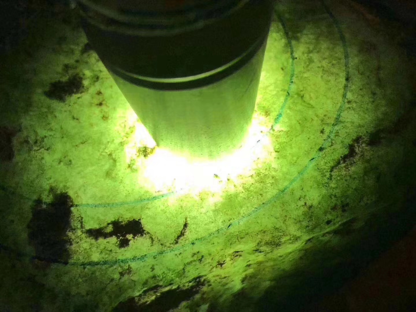SG319-1.51kg会卡全赌有手镯位整体通透带底色种水单