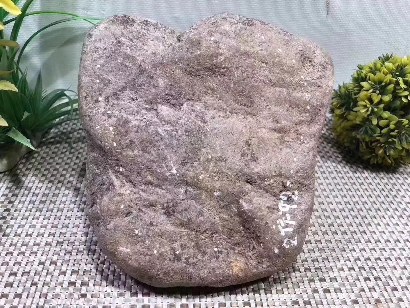 GH2-9kg百三桥全赌飘色手镯料品相完整皮壳紧凑全身表现水