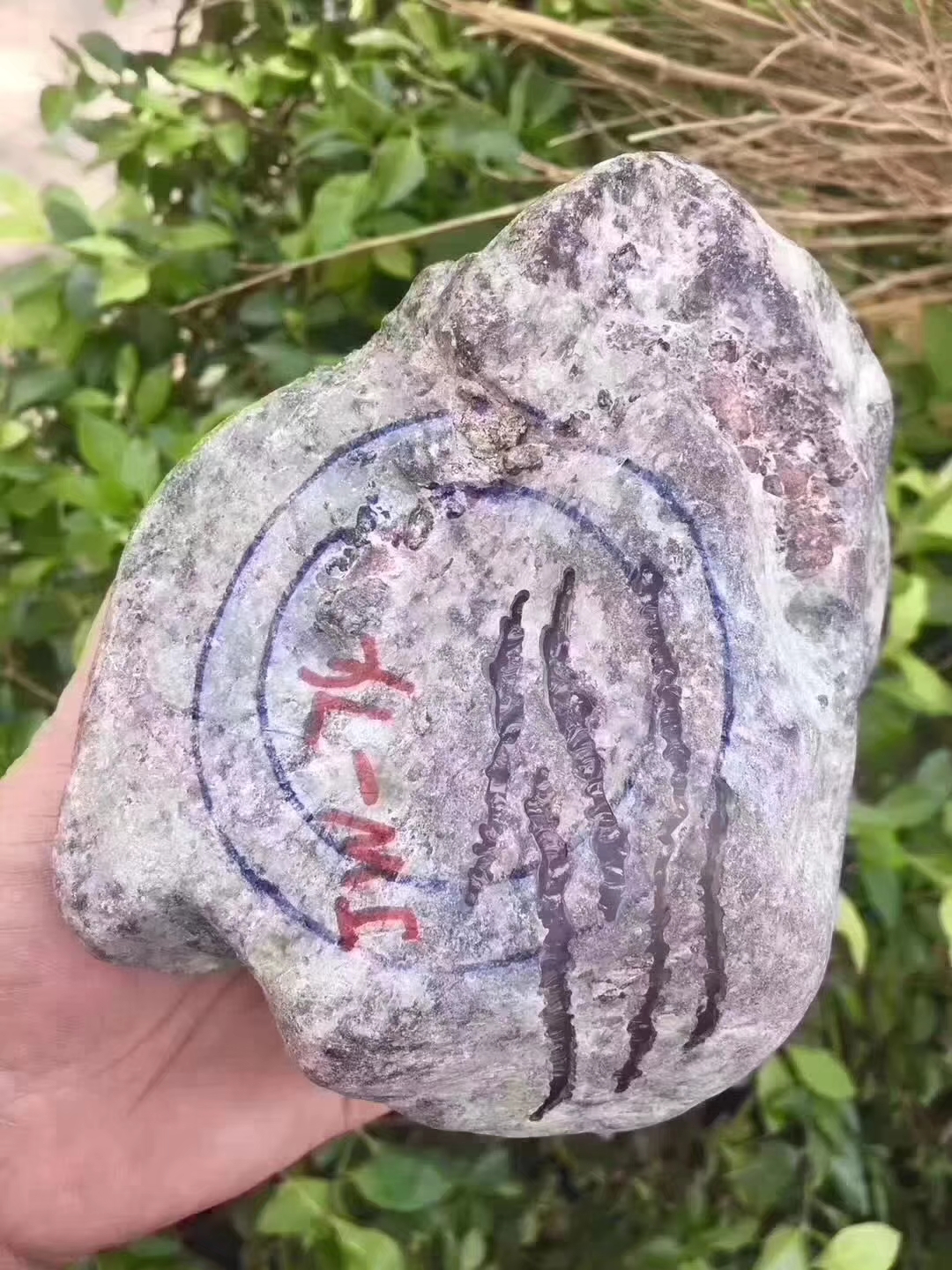JW74-2kg会卡开窗冰春皮壳紧实品相好大窗口见光不死整体