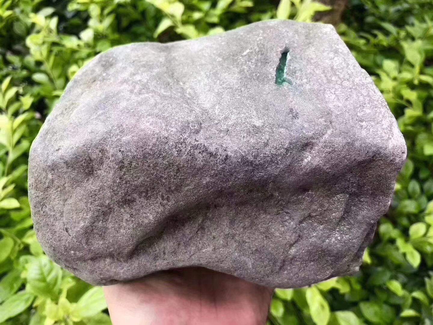 JW122-3.6kg水翻沙开窗飘色手镯料品相完整皮壳紧致整