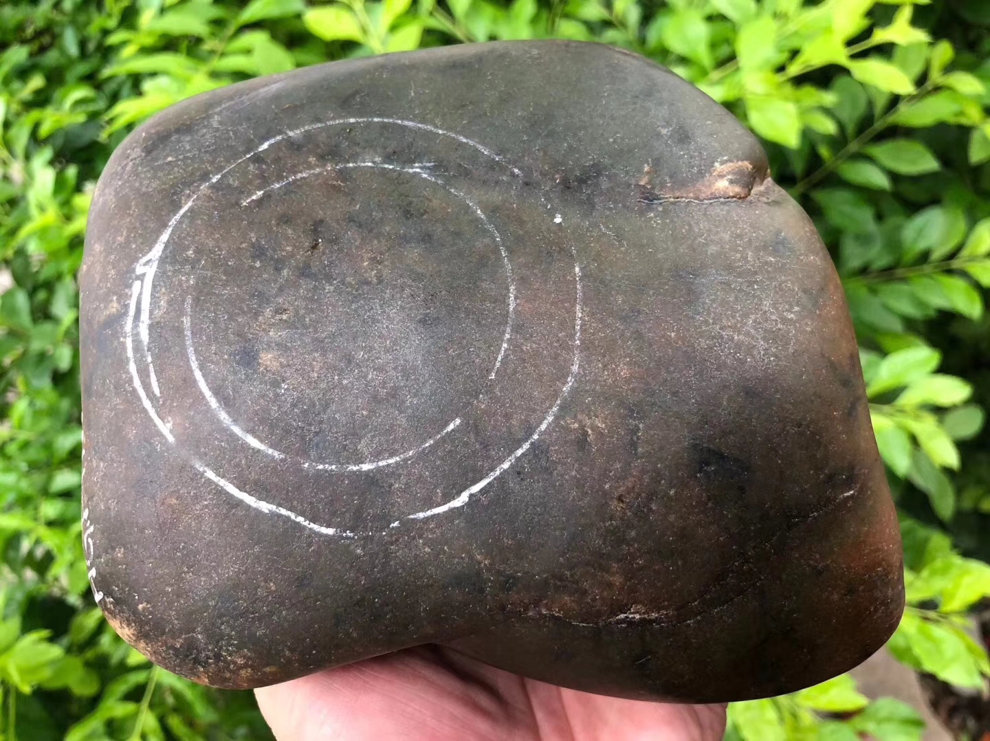 SG274-2.65kg大马坎全赌飘色手镯料皮壳紧致整体表现