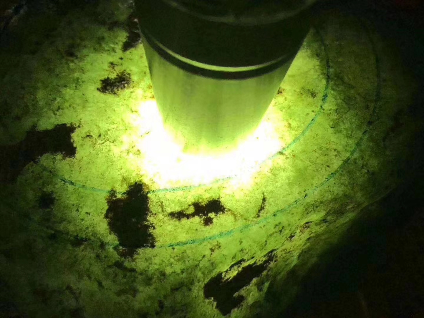 SG319-1.51kg会卡全赌有手镯位整体通透带底色种水单