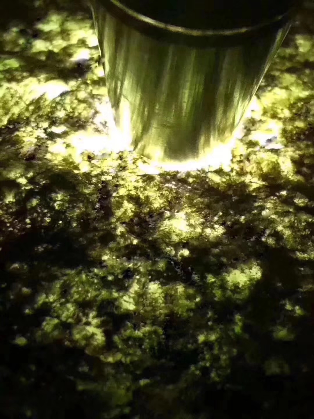 JW105-3.2kg莫西沙全赌冰种皮壳老翻沙均匀整体表现水