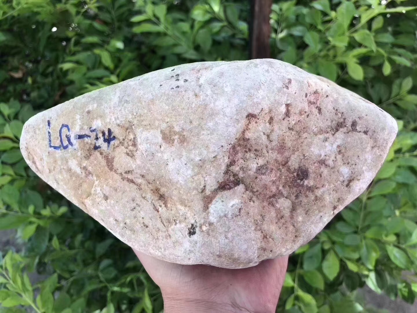 LQ24-4.2kg街对角全赌手镯料皮壳老沙细整体表现水长灯