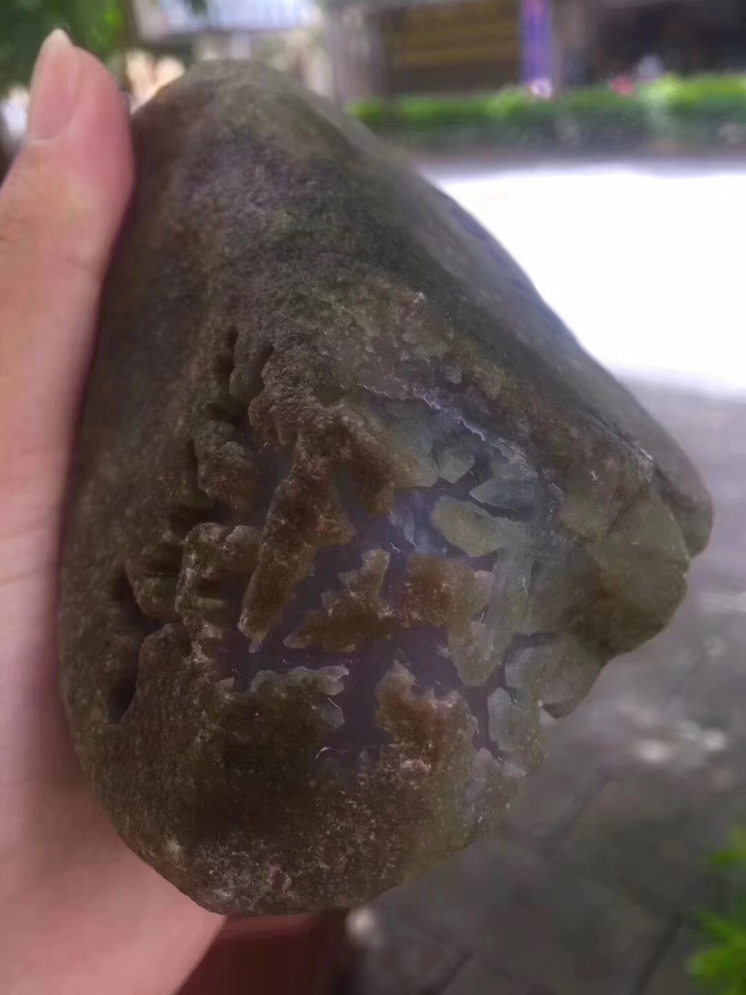 SG191-865g南奇开窗冰春料皮壳超老多面开窗灯下春色浓