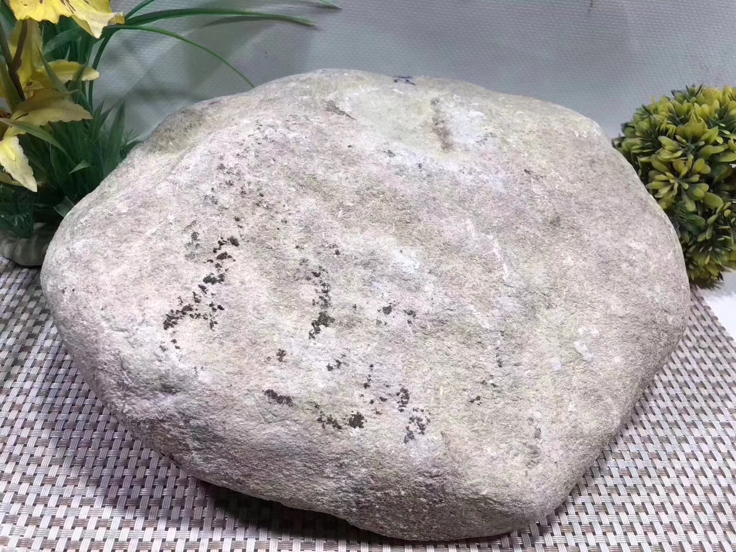 JW68-10.57kg莫西沙全赌椿色手镯料品相好皮壳紧实翻