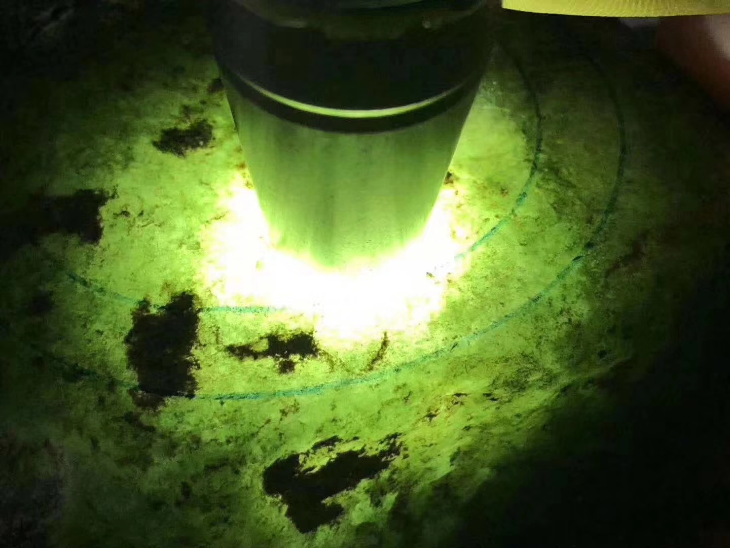 SG319-1.51kg会卡全赌有手镯位整体通透带底色种水单