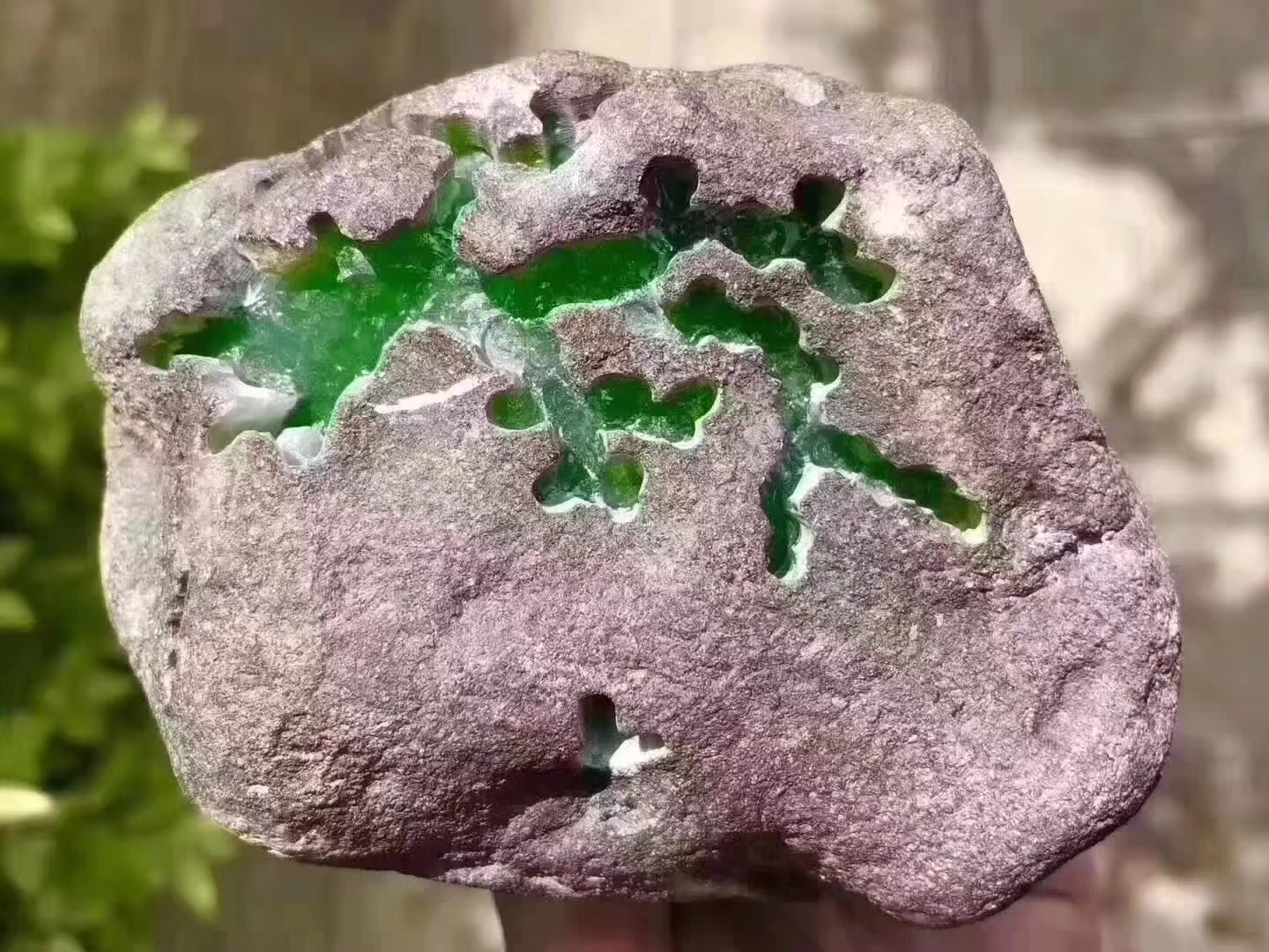 JW17-1kg莫西沙开窗冰飘色牌子料皮壳超老开窗面积大杠味