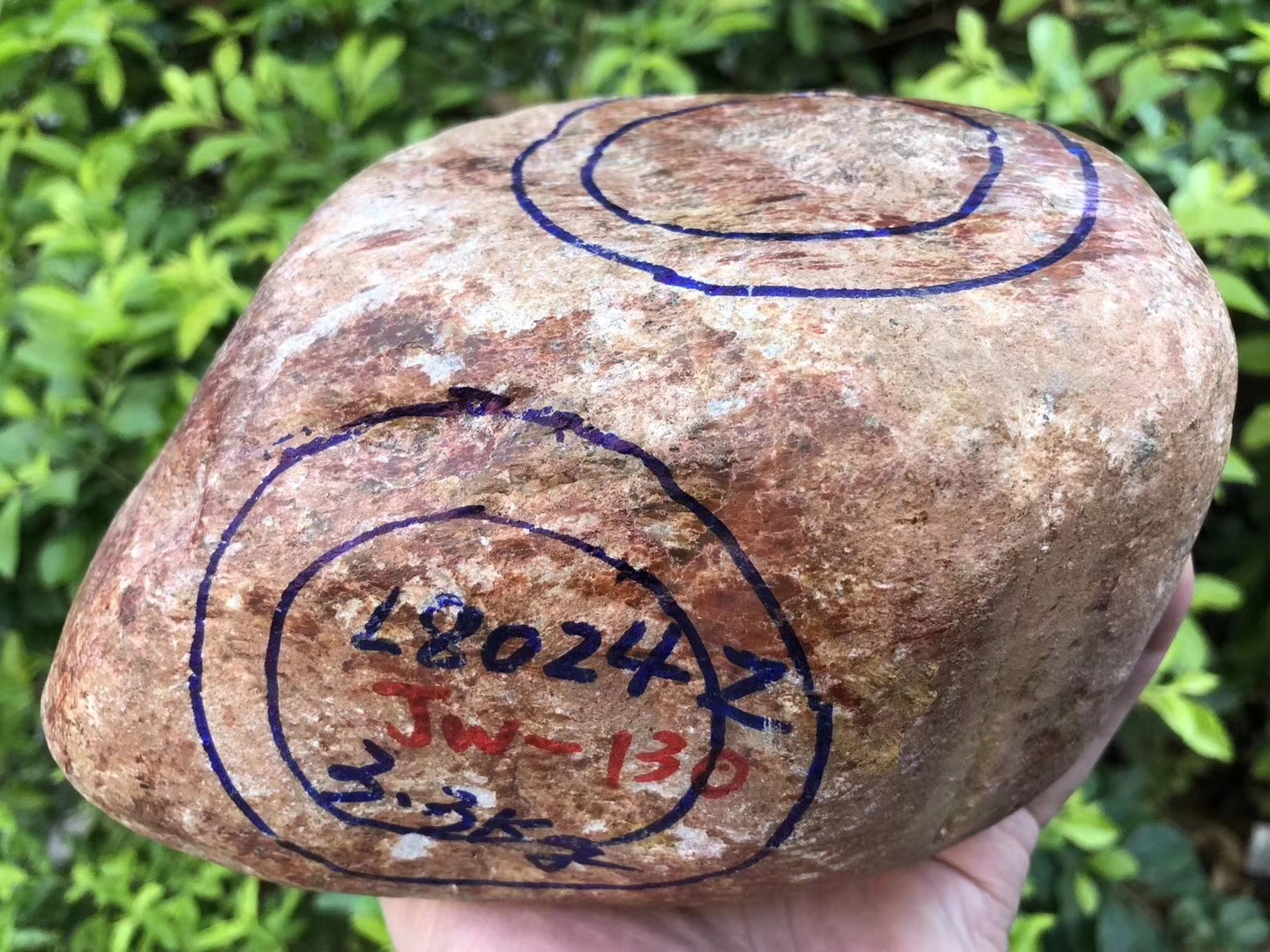 JW130-3.22kg百三桥全赌手镯料老蜡皮整体表现通透起