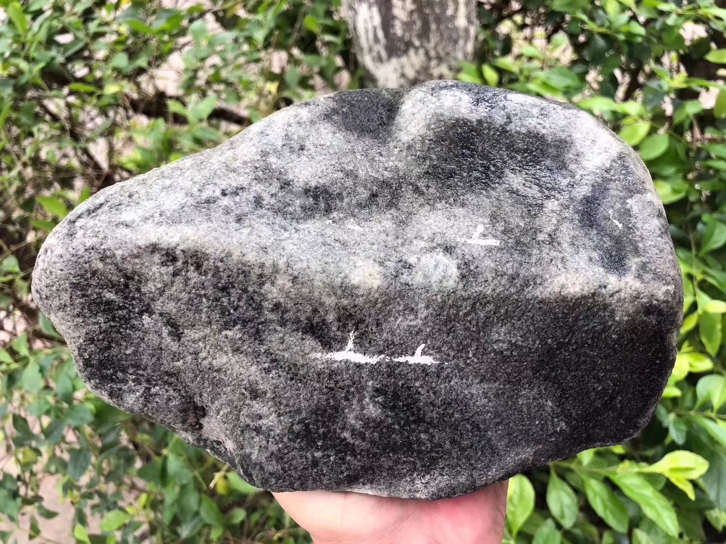 JW102-5kg莫西沙脱沙冰种皮壳紧实翻沙均匀整体表现水长