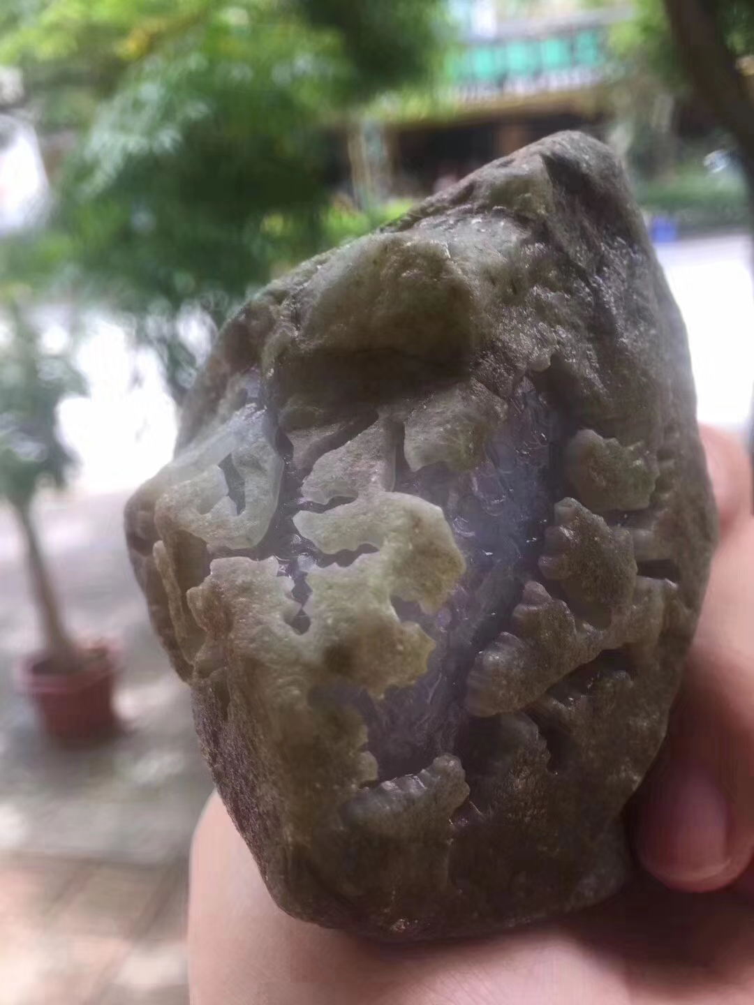 SG191-865g南奇开窗冰春料皮壳超老多面开窗灯下春色浓