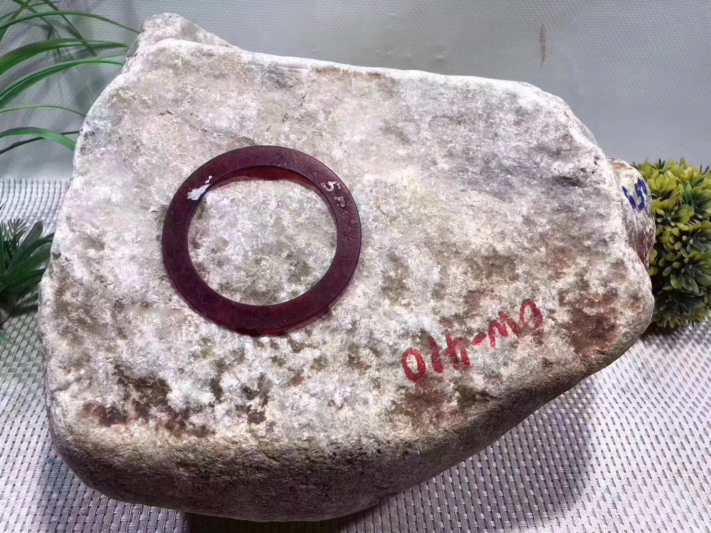 OW410-25kg街对角全赌飘花手镯料皮壳紧致整体表现水长