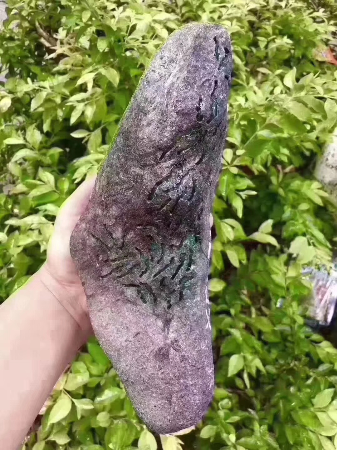 XF75-4.8kg莫弯基开窗手镯料皮壳紧致大面积开窗种老起