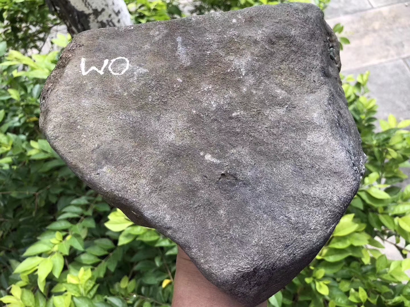 QY96-6.2kg莫西沙开窗色料品相完整皮壳紧致多处开窗杠