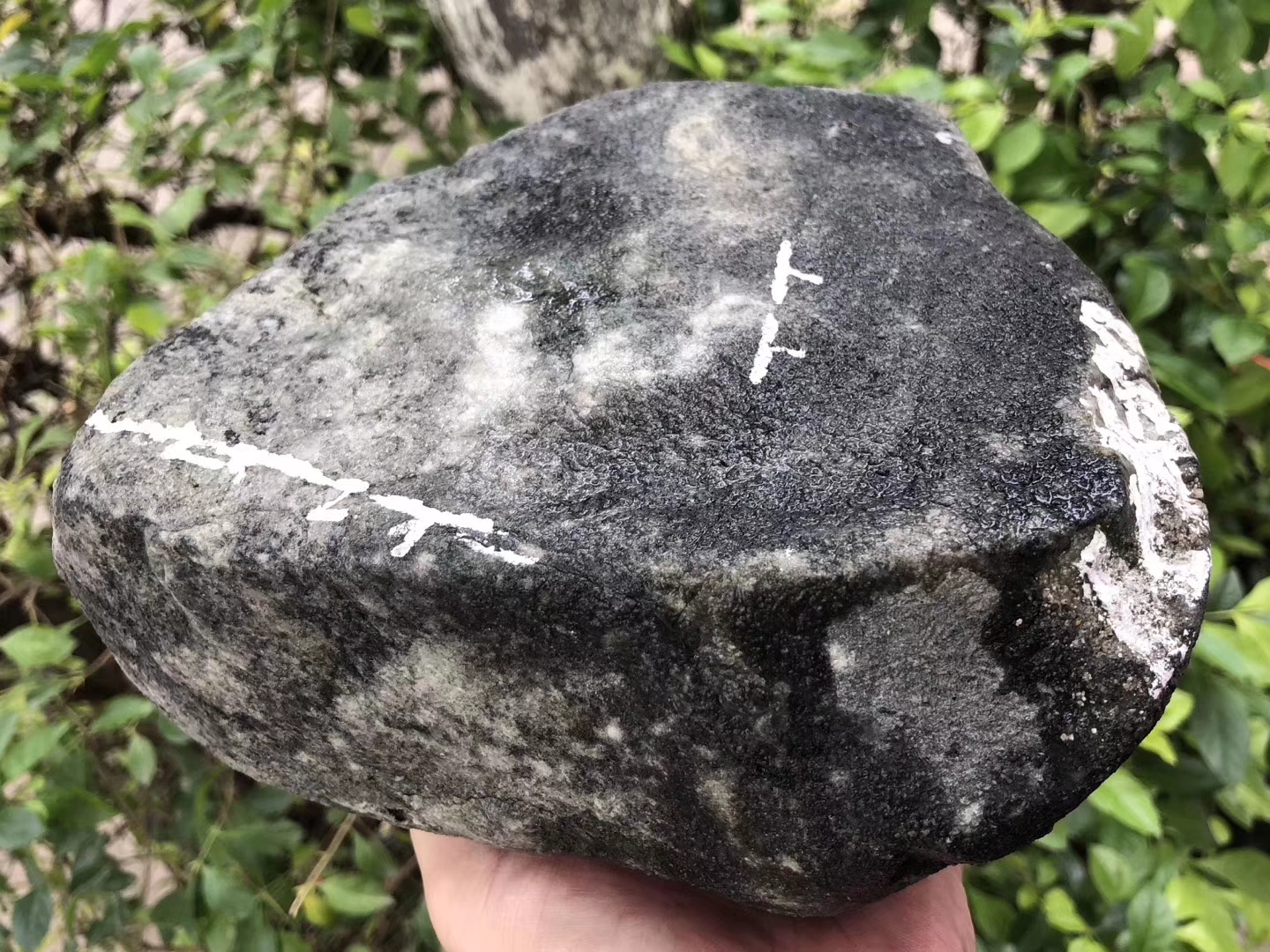 JW102-5kg莫西沙脱沙冰种皮壳紧实翻沙均匀整体表现水长