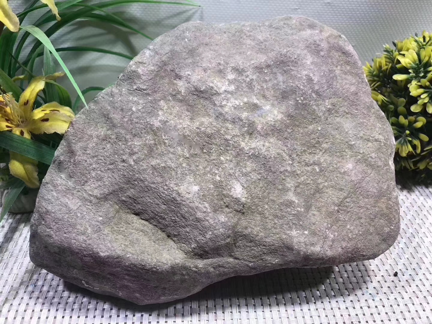 LQ22-4kg莫西沙全赌手镯料皮壳紧致翻沙均匀灯下荧光足种