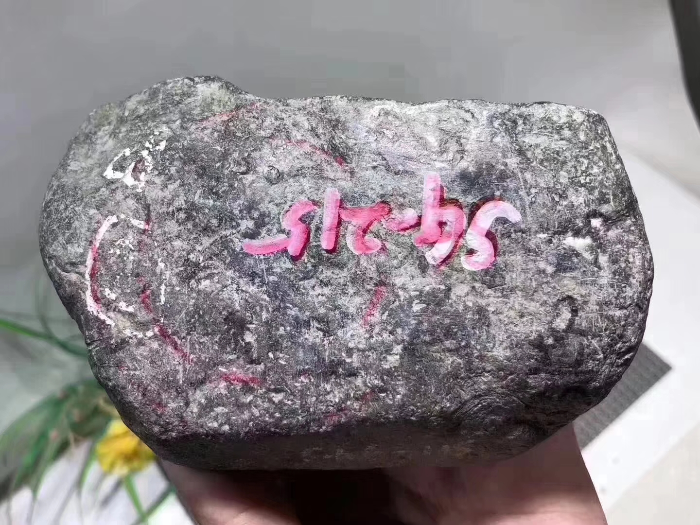 SG215-1.3kg会卡全赌春料皮壳老品相好整体打灯通透已