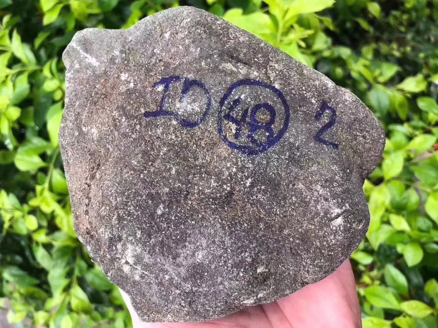 SG183-1kg水翻沙开窗手镯料皮壳紧实整体已翻沙灯下通透