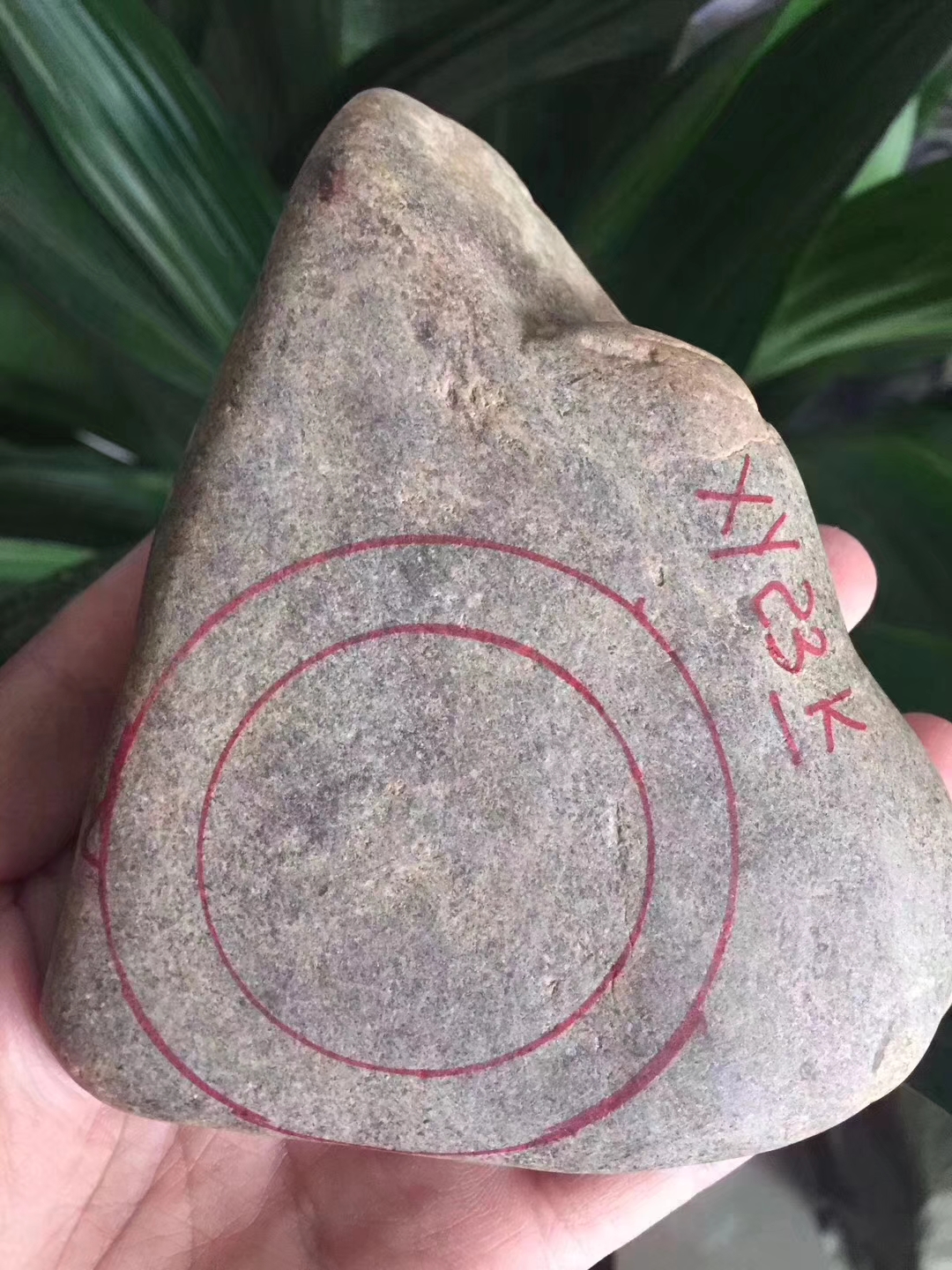 JW41-725g大马坎全赌冰种品相完整整体通透起雾起荧光底