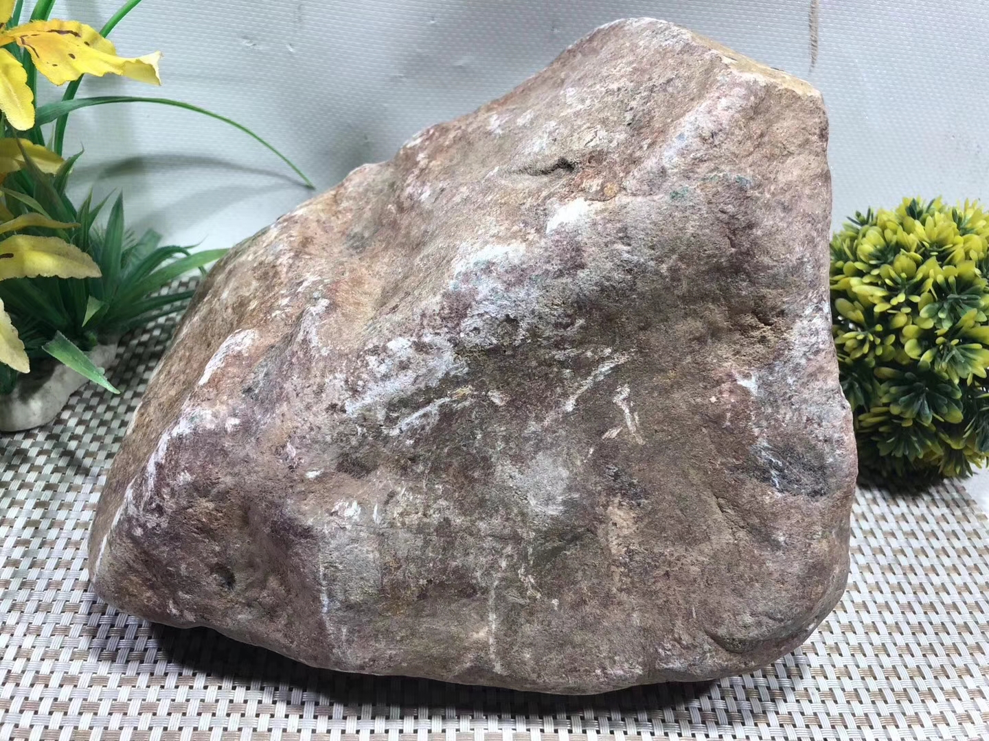 XF158-10kg百三桥全赌手镯料品相完整整体表现水长种老