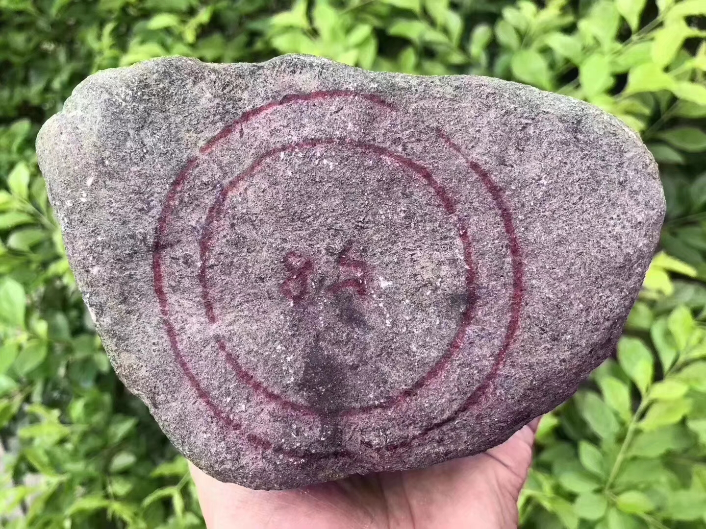 QG36-3kg莫西沙全赌飘色手镯料皮壳超老飘色均匀品相好表