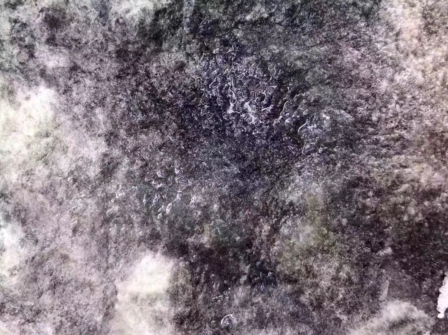 JW102-5kg莫西沙脱沙冰种皮壳紧实翻沙均匀整体表现水长