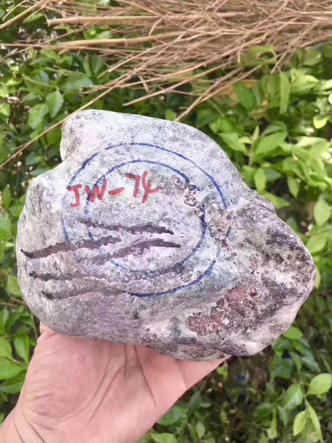 JW74-2kg会卡开窗冰春皮壳紧实品相好大窗口见光不死整体