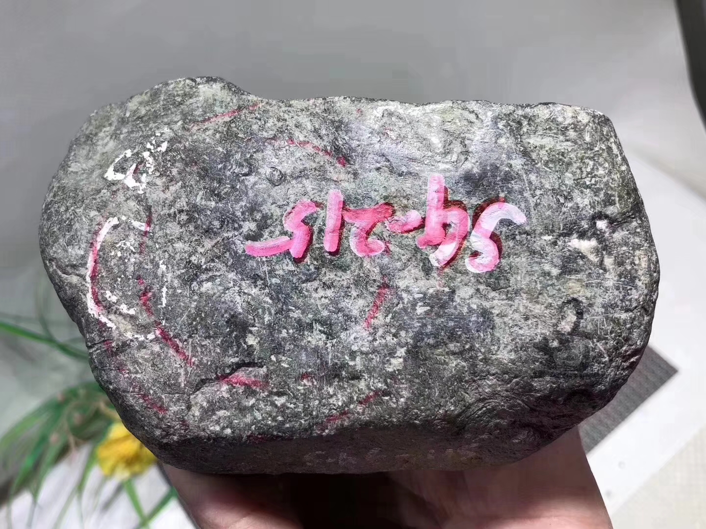 SG215-1.3kg会卡全赌春料皮壳老品相好整体打灯通透已