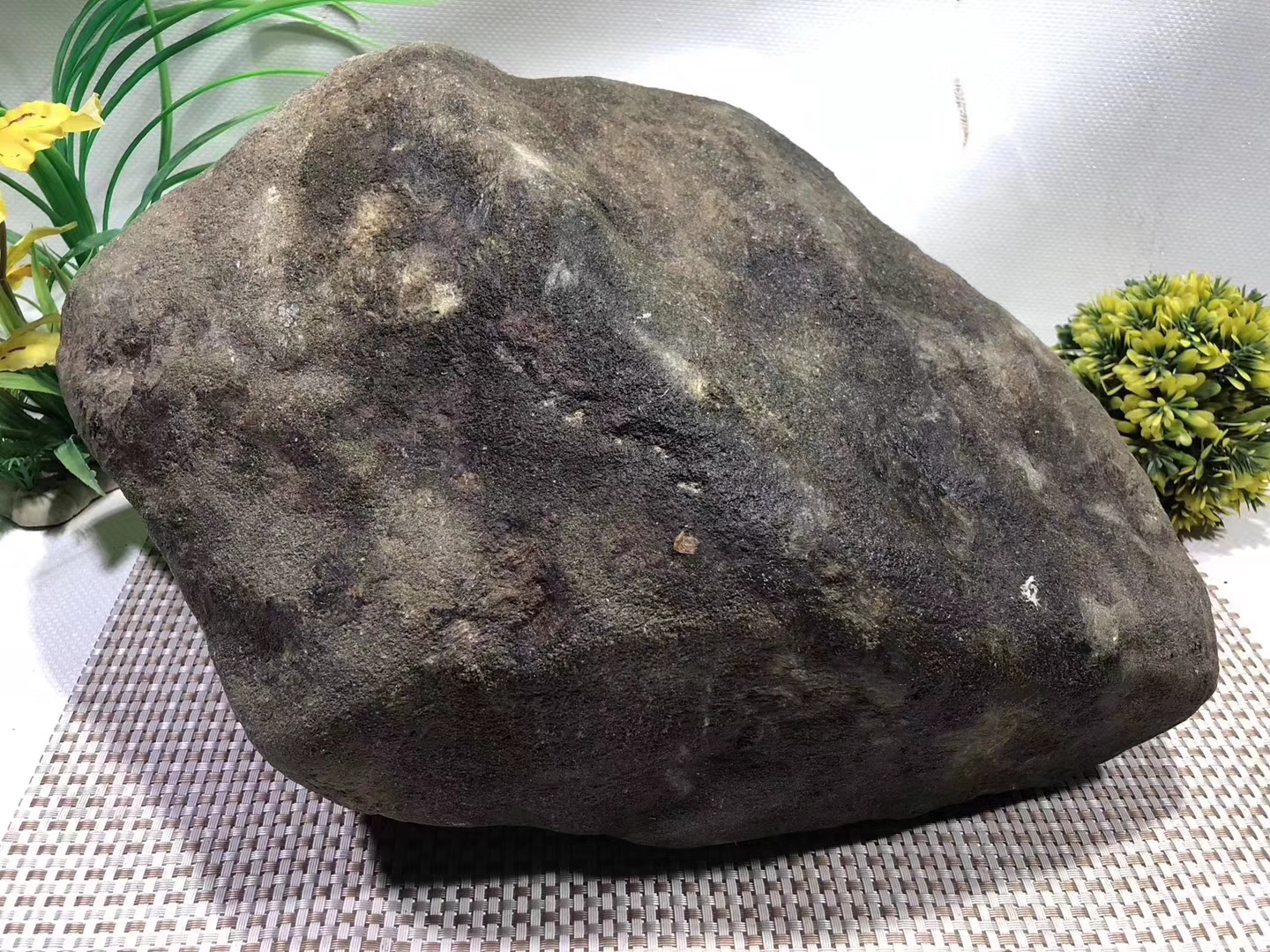 GF6-29.23kg莫西沙全赌手镯料皮壳超老翻沙均匀多处表