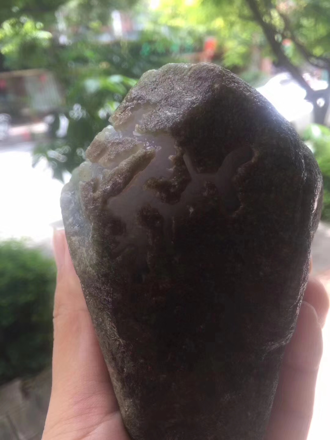 SG191-865g南奇开窗冰春料皮壳超老多面开窗灯下春色浓