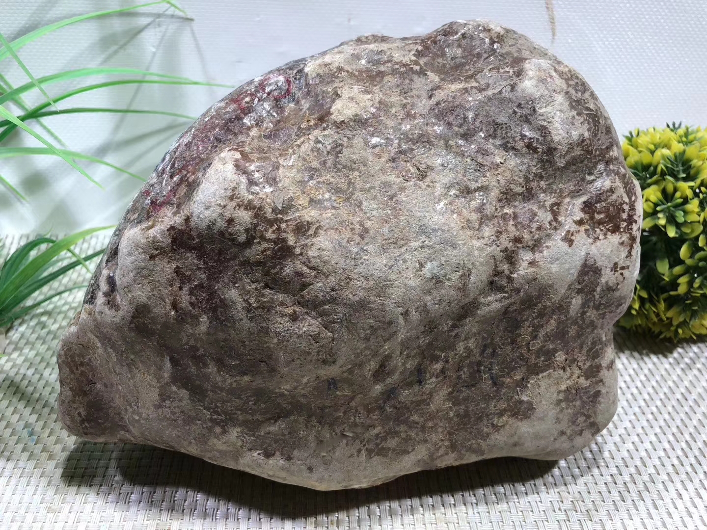 OW227-7kg百三桥全赌手镯料皮壳紧实表现通透起荧光种水