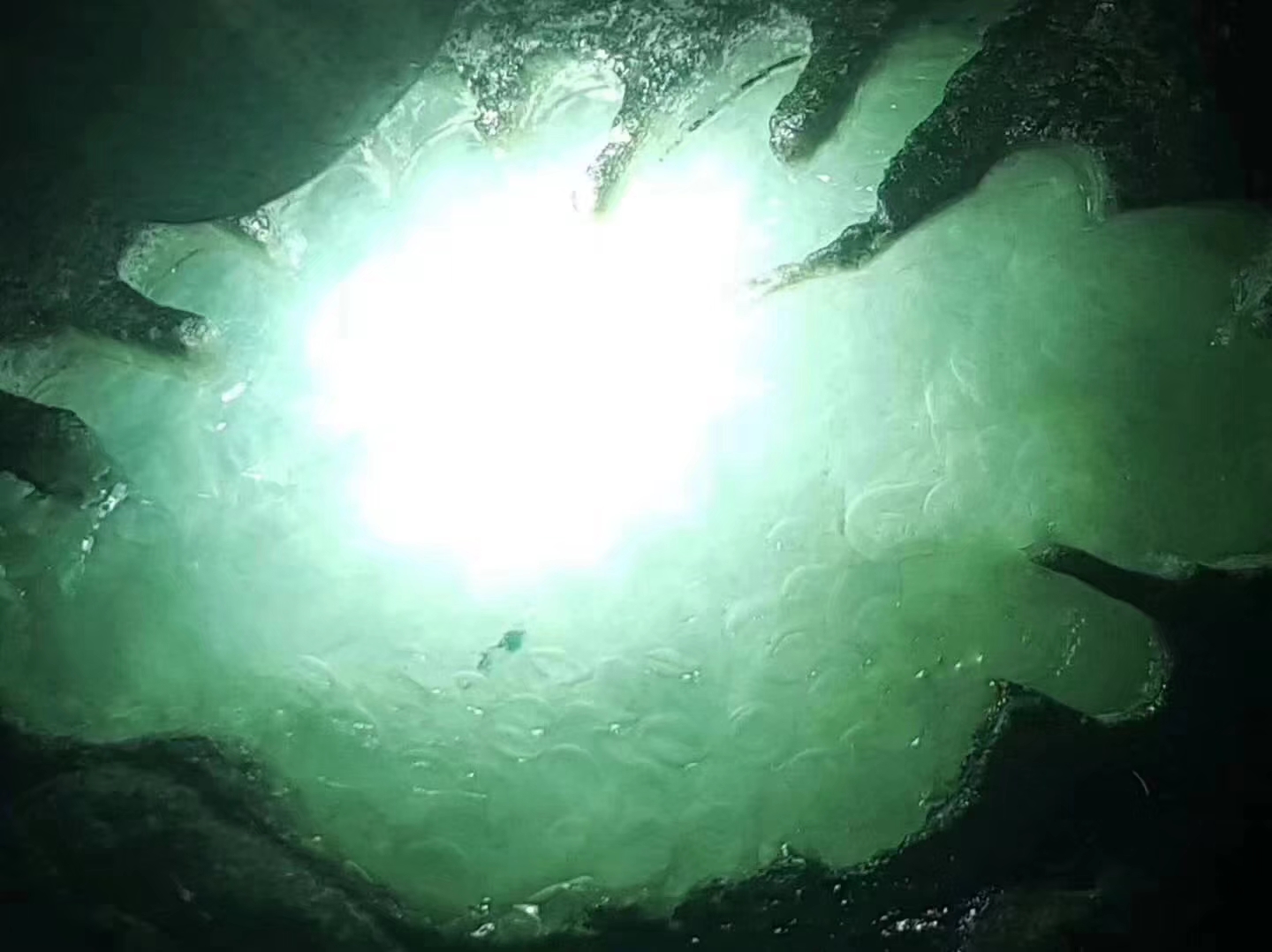 WJ13-955g老象皮开窗糯冰大牌料大面积种老掉牙肉细起胶