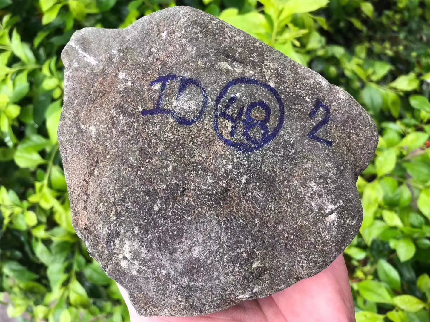 SG183-1kg水翻沙开窗手镯料皮壳紧实整体已翻沙灯下通透