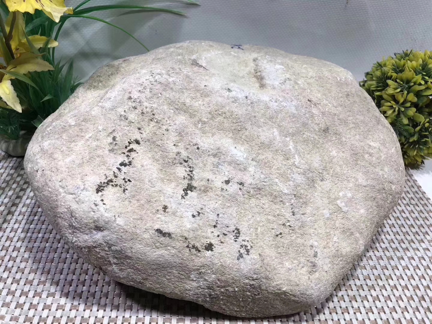 JW68-10.57kg莫西沙全赌椿色手镯料品相好皮壳紧实翻