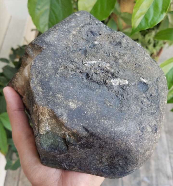 老坑南奇改口手镯明料3.92公斤底子干净清爽自然带底色飘阳绿