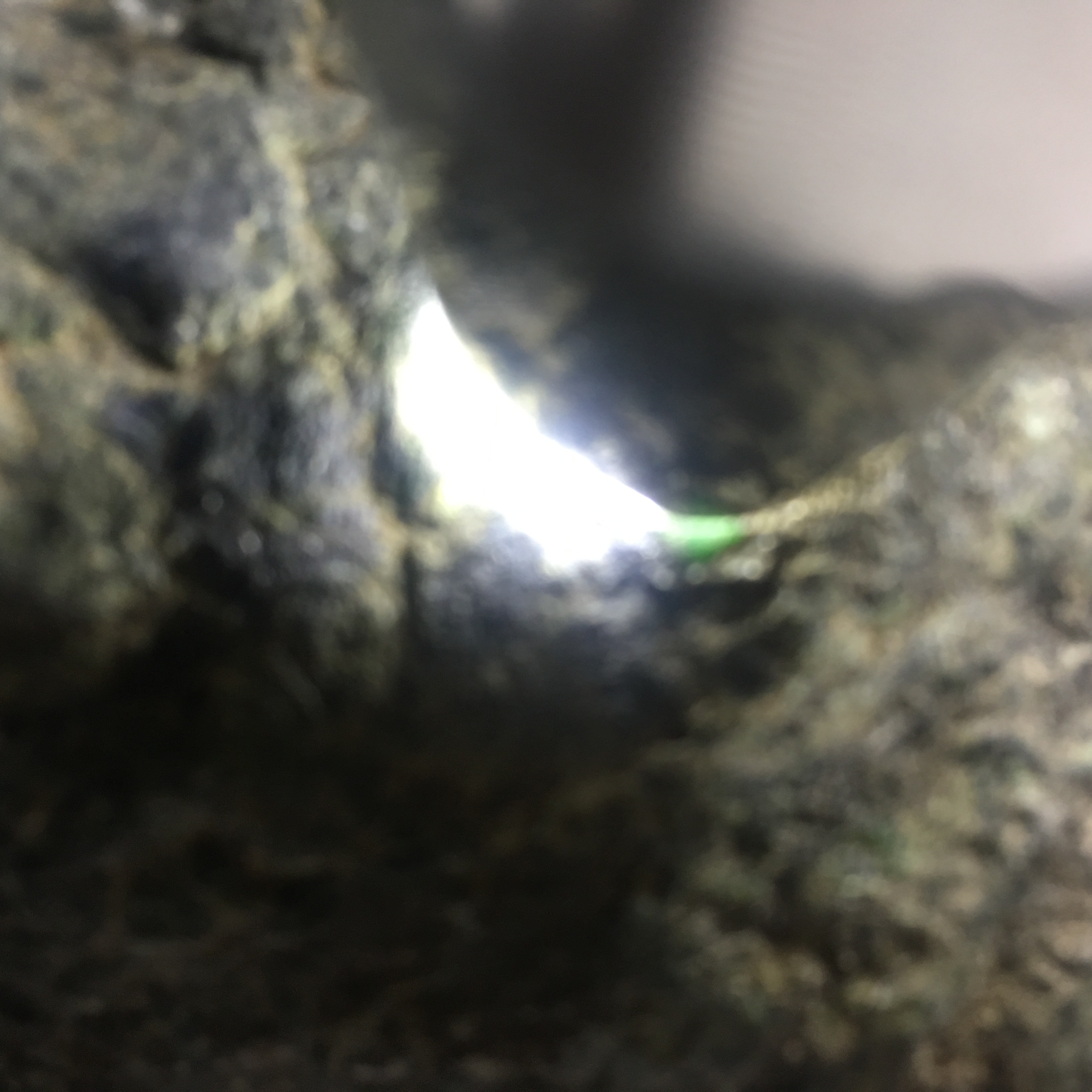 天然缅甸翡翠原石毛料莫西沙全赌料脱沙重768克