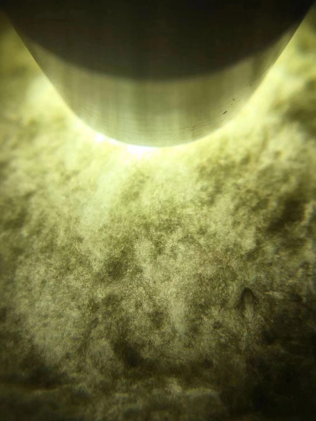 秒杀克莫西沙皮壳老水头很足可赌牌子挂件先款先得