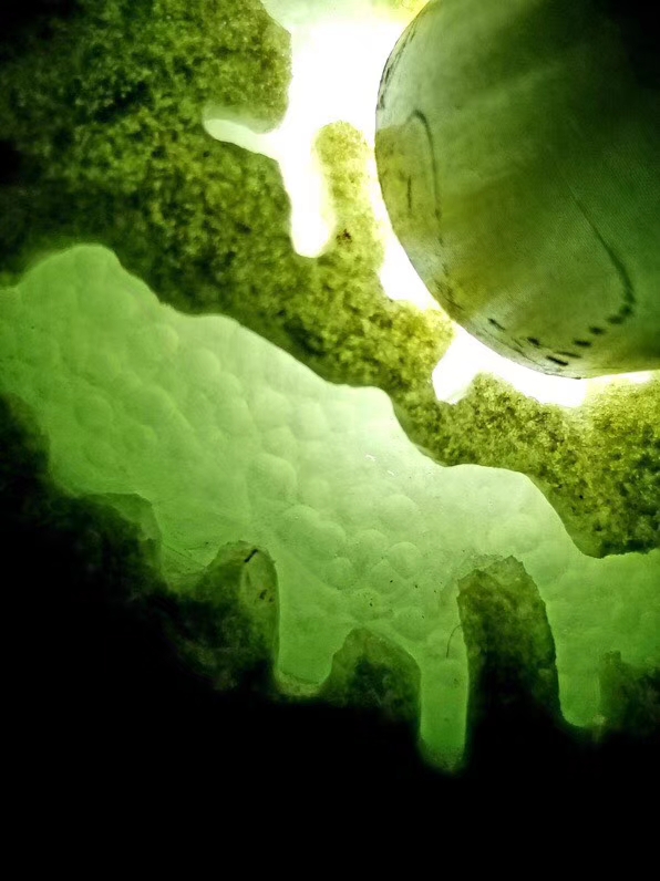 特秒杀猛料1公斤老坑莫西沙开口冰晴手镯料料子大面积开口全身没